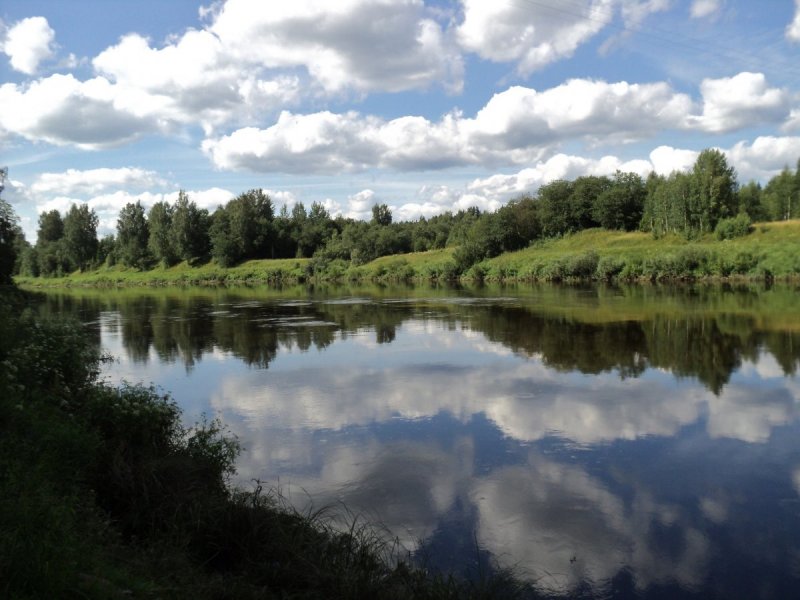 Река Мста Новгородская область