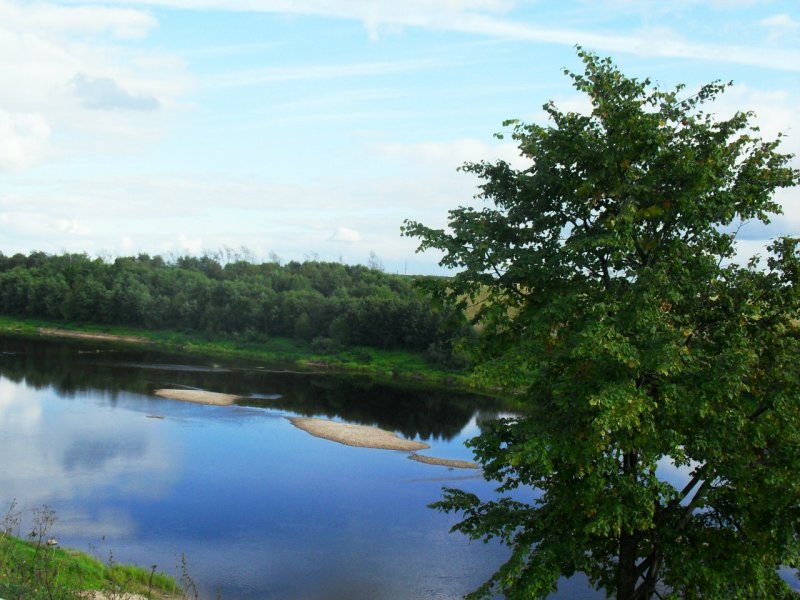 Река Вишера Новгородская область