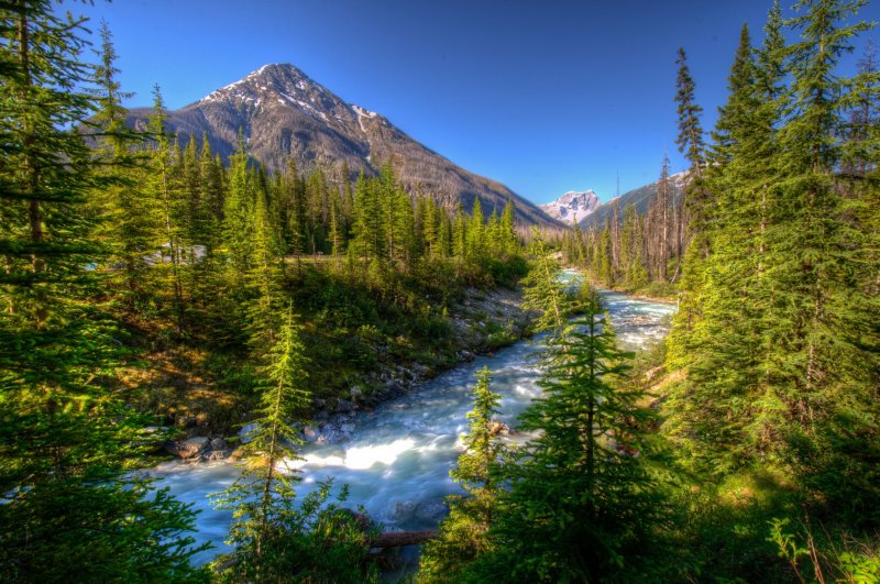 Река в Канаде в лесу