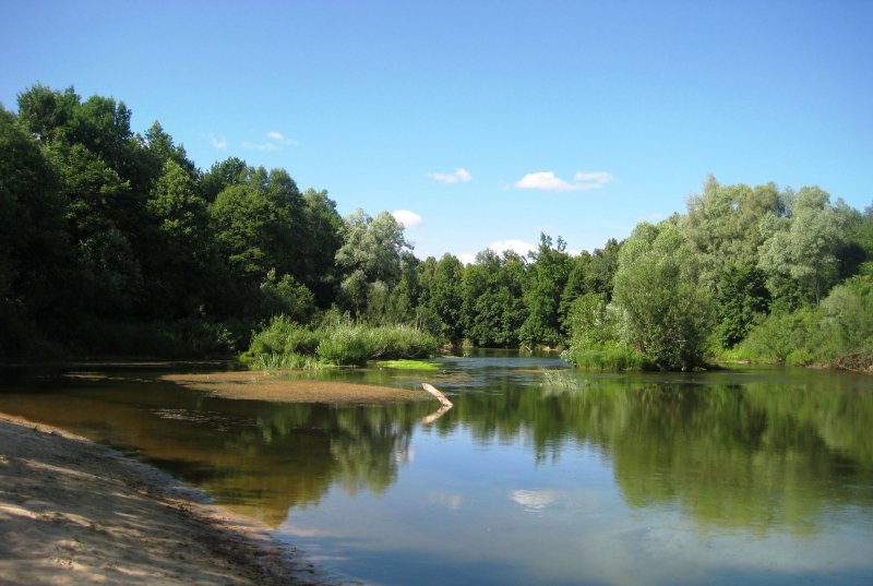 Большая Кокшага (река)