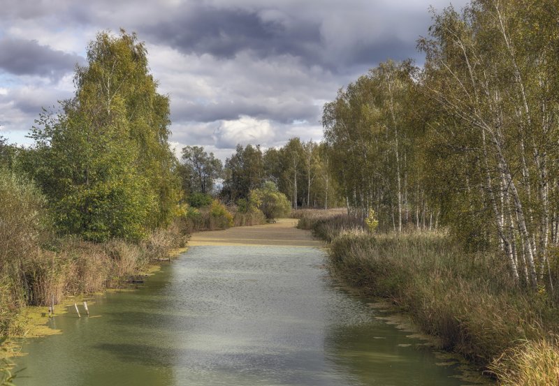 Зеленая река Лефортово
