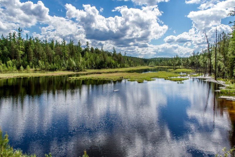5 Озер в Муромцево Омская область
