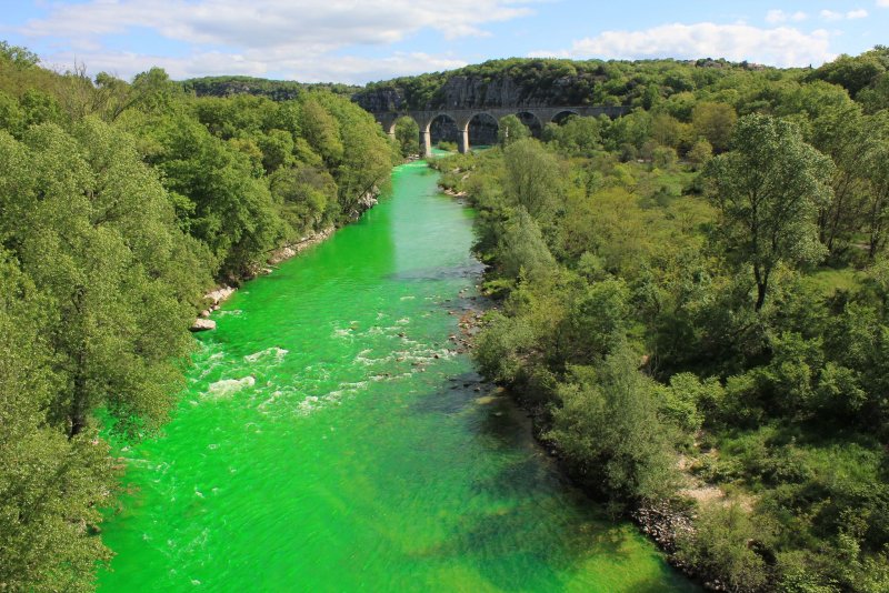 Река позеленела
