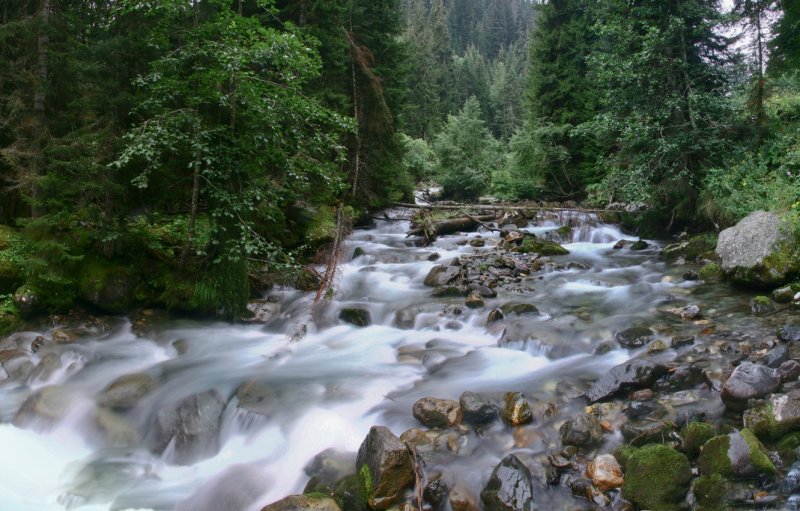 Грузия природа реки