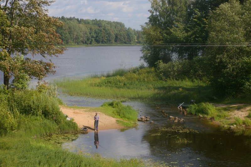 Река Луга в районе Толмачево