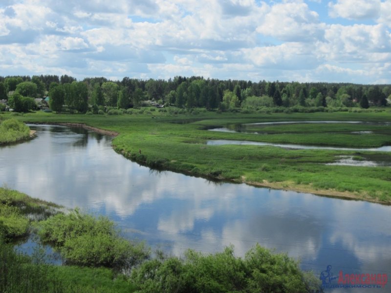 Река Луга толмачёво Ленинградская область