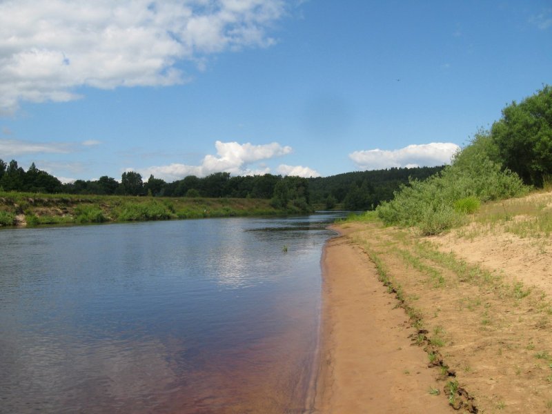 Река Луга в Ленинградской области