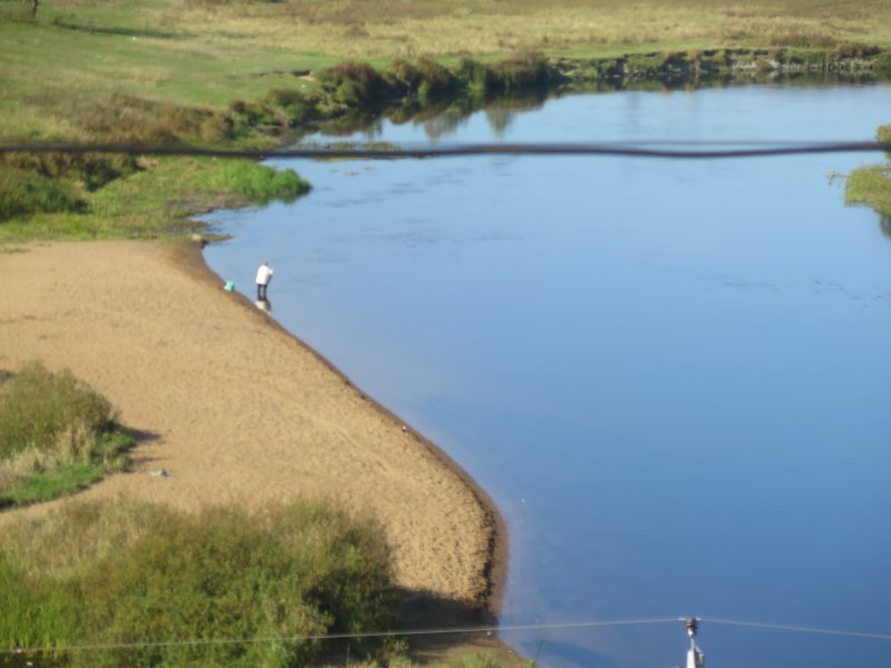 Река Луга Толмачево