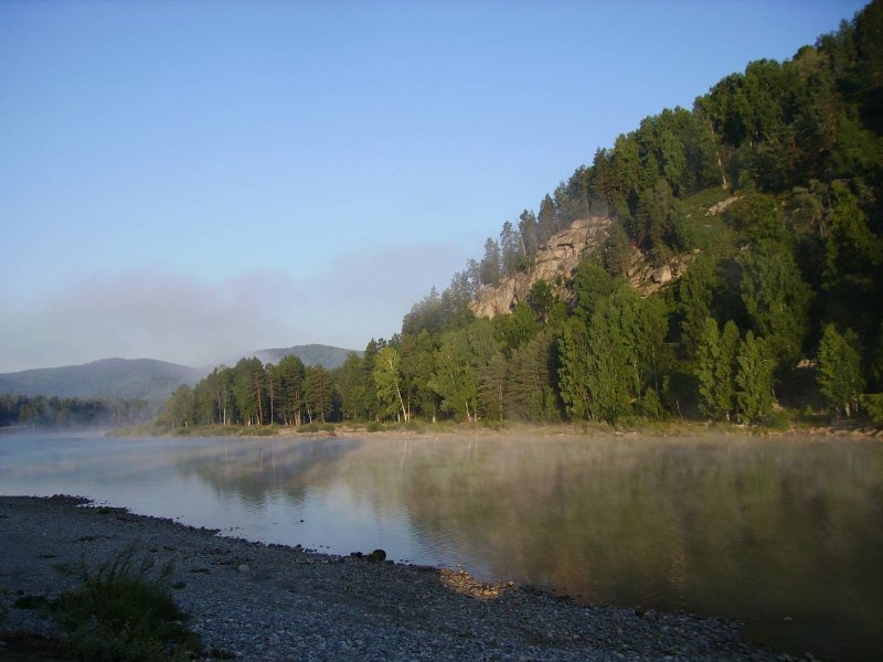 Река лебедь Алтайский край