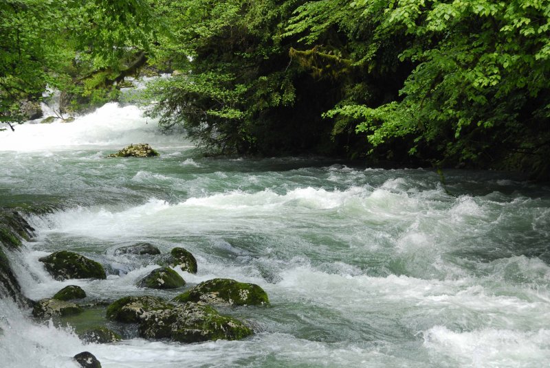 Река белая на Северном Кавказе