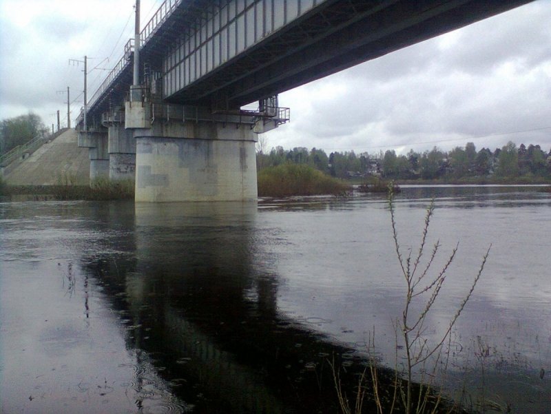 Река Луга толмачёво Ленинградская область