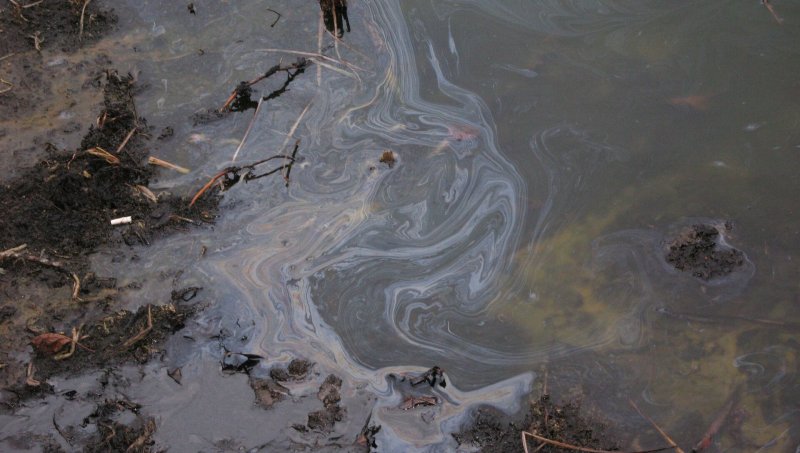 Загрязнение водоемов река Северная Двина