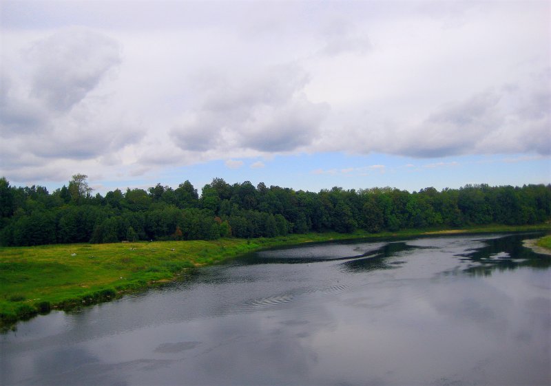 Река Луга Новгородская область