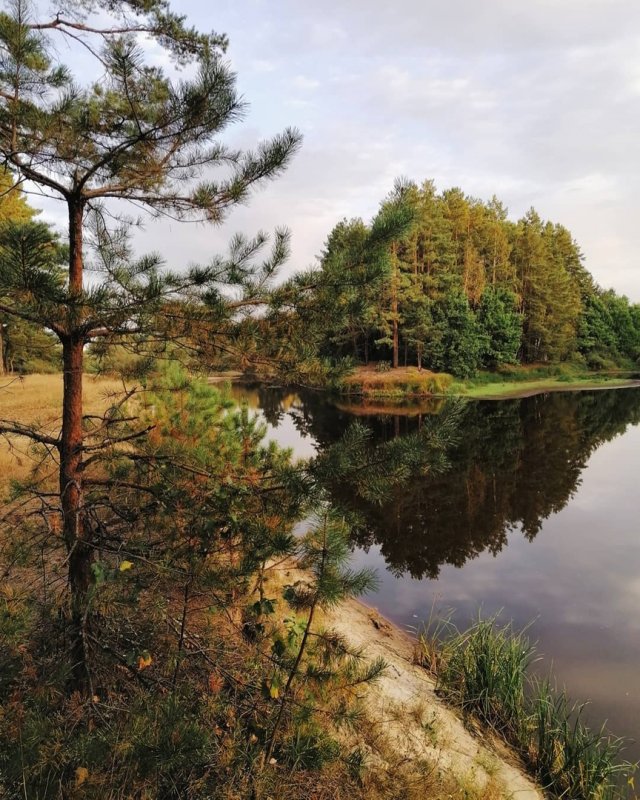 Мещёрский национальный парк Рязанской области