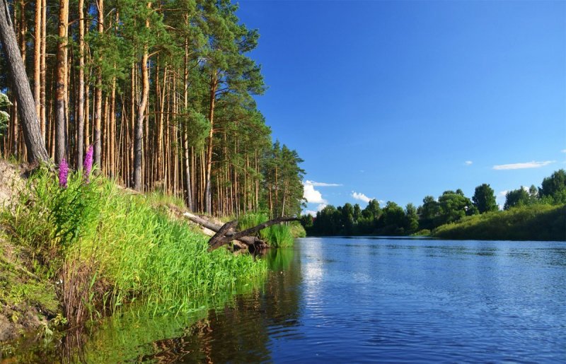 Сплав по реке пра Рязанская область