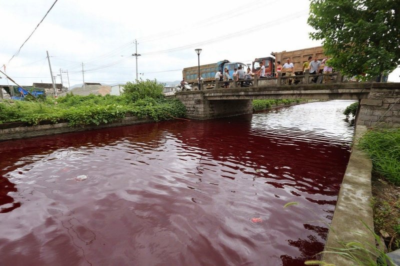 Загрязнённая река завод
