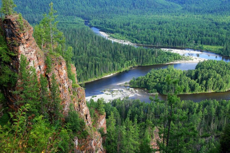 Тайга река Красноярск