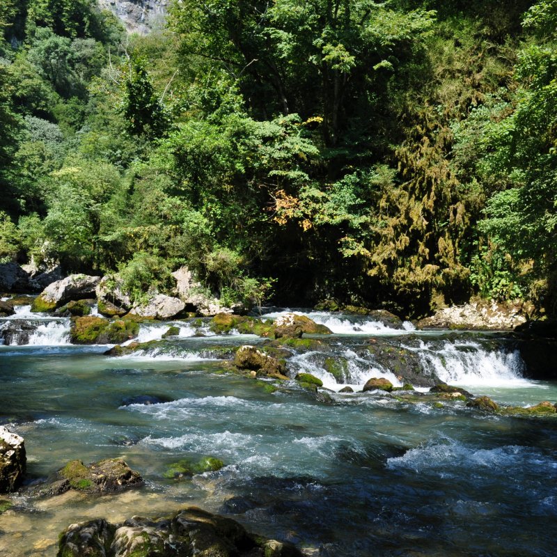 Горная речка в Абхазии