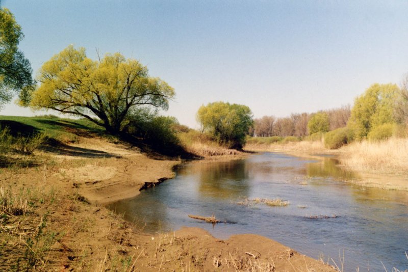 Река Иргиз Самарская область