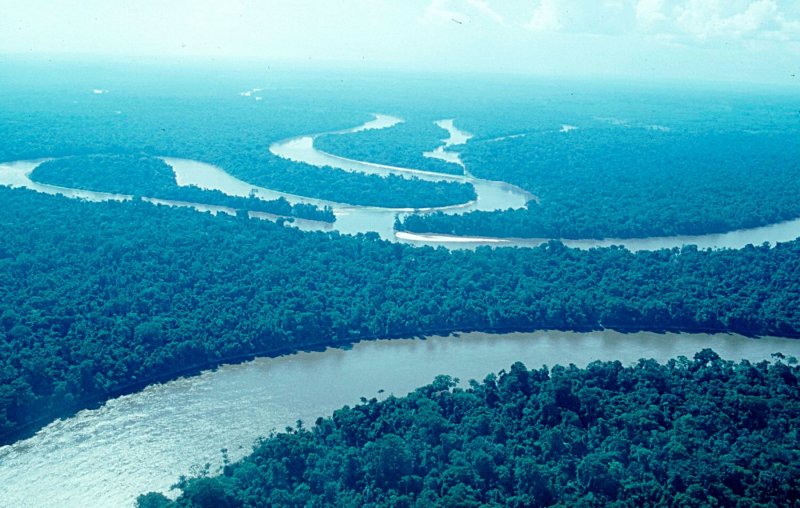 Самара река Амазонка