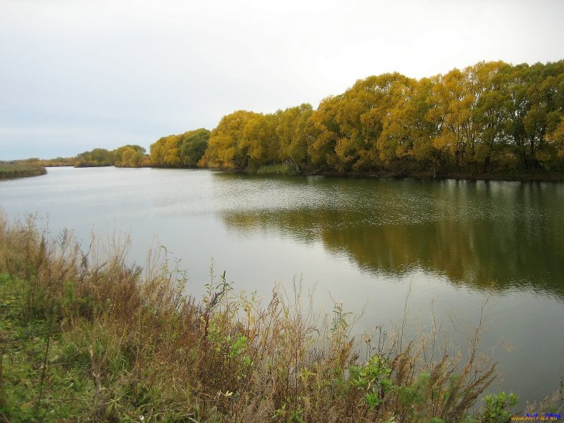 Пугачёв Саратовская область река Иргиз
