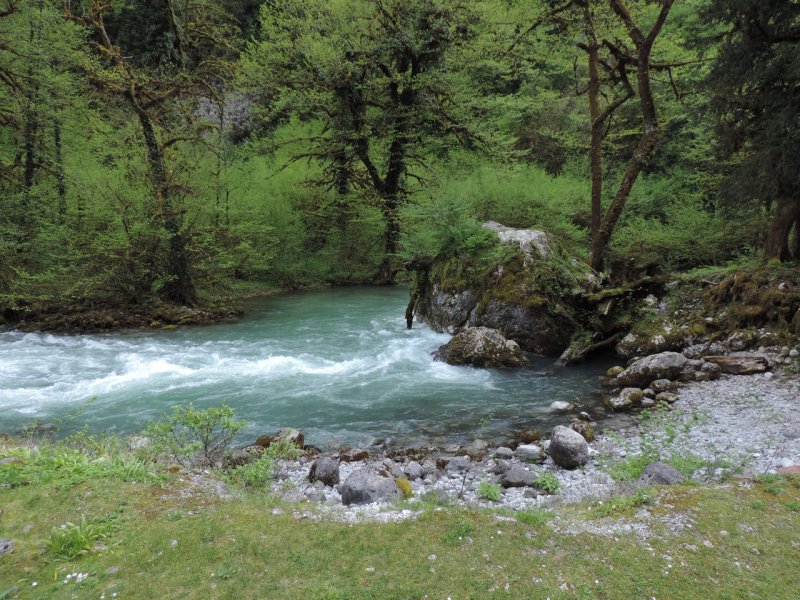 Горная река в Абхазии Юпшара