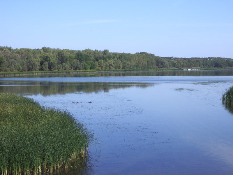 Природа в Саратовской области Балаковского района