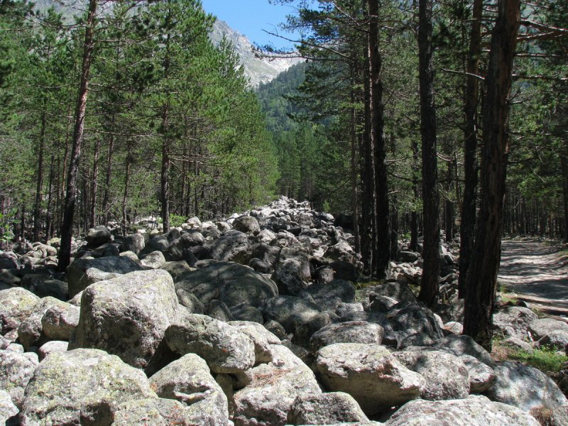 Каменная река курумник