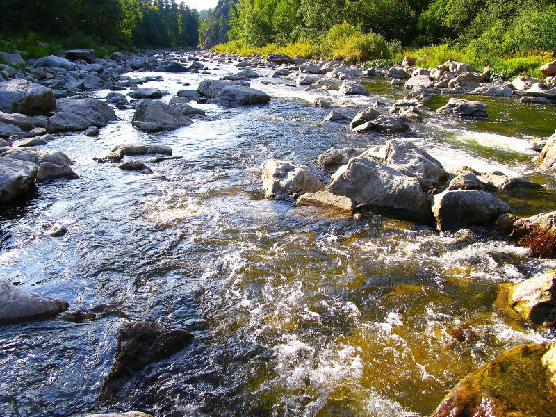 Южно-Уральский государственный природный заповедник реки