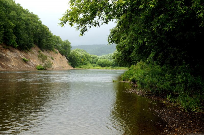 Река Лютога