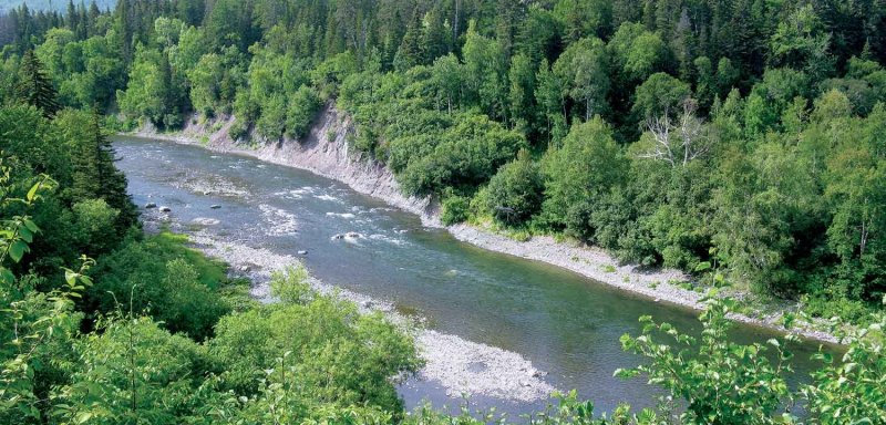 Река Ясенка Сахалин