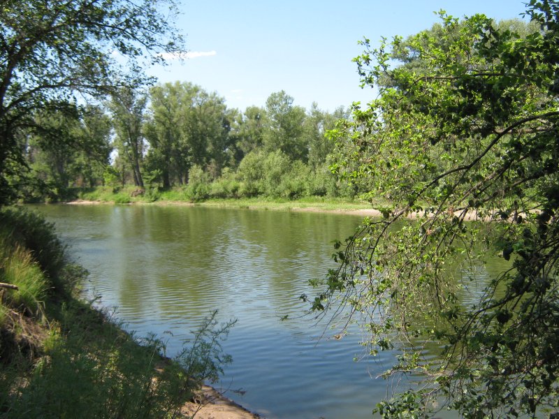 Река сок Сергиевский район