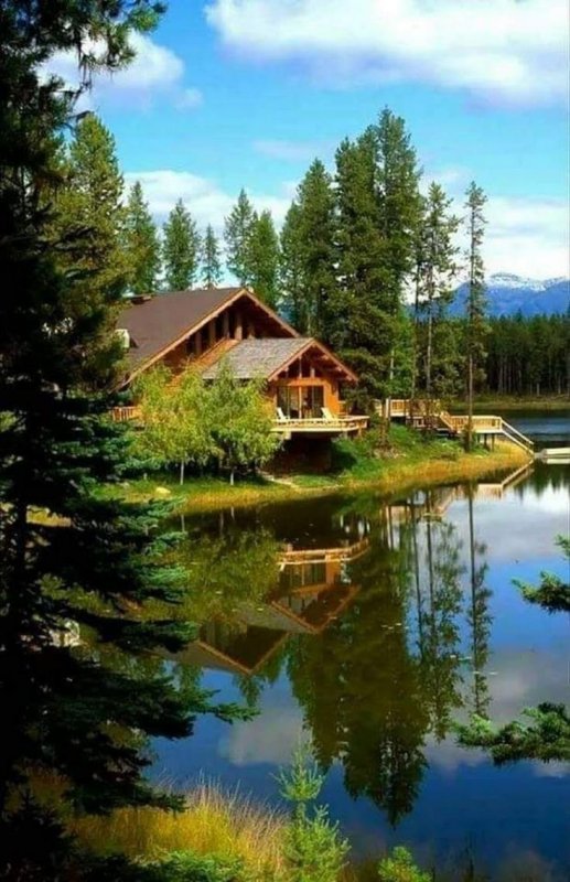 Лес горы штат Монтана домик у озера