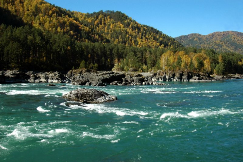 Алтайская река Катунь