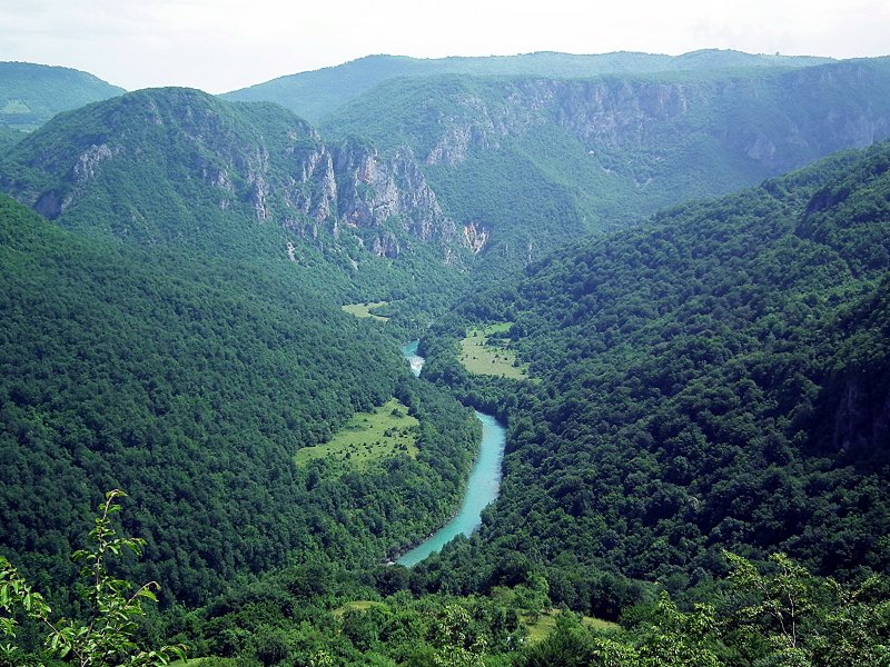 Каньон реки тары Черногория фото