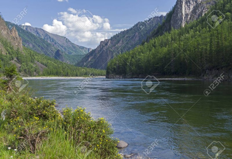 Сибирь река в ущелье