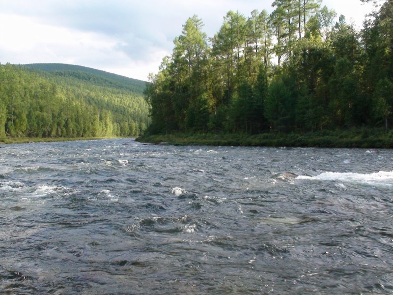 Река Казыр Красноярский край