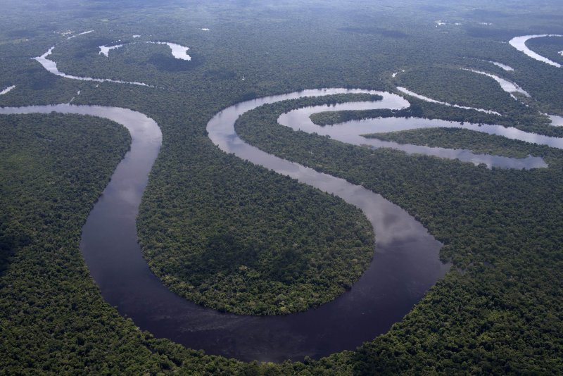 Амазонская неизменност