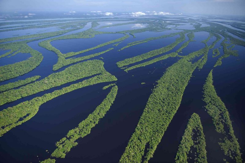 Амазонская река Южной Америки