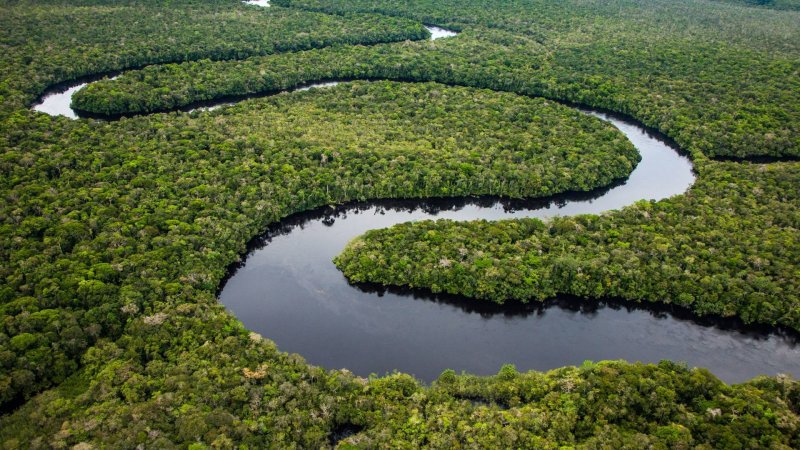 Самая большая Дельта реки (Амазонка).