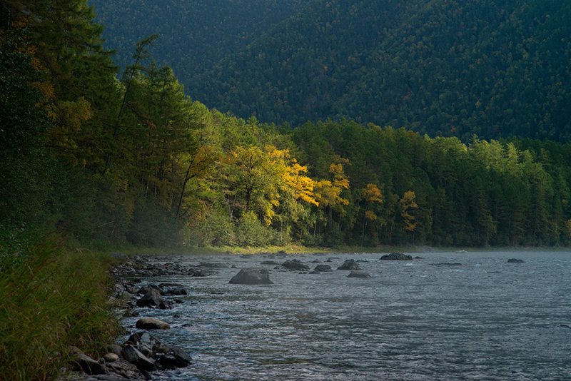 Анюй река в Хабаровском