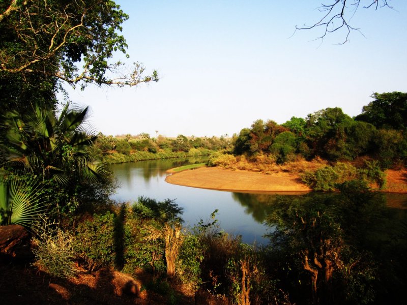 Сенегал национальный парк Ниоколо-Коба