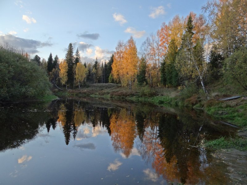 Осень горные ручьи Тайга Сибирь