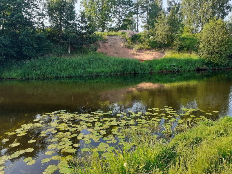 Озеро белое Оредеж Ленинградская область