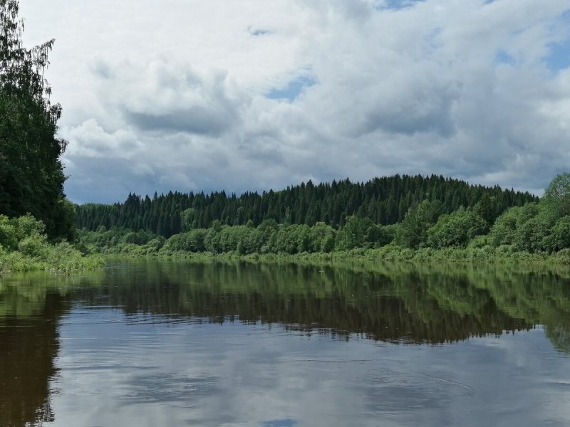 Река Ужуга Костромская область фото