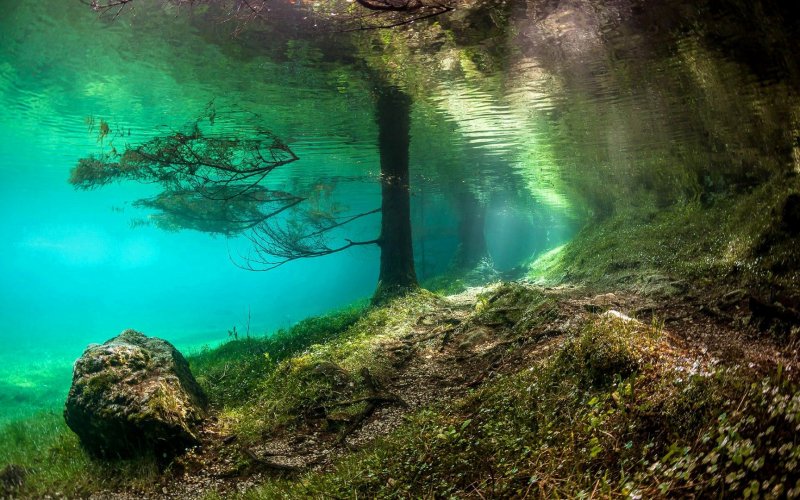 Подводный мир реки