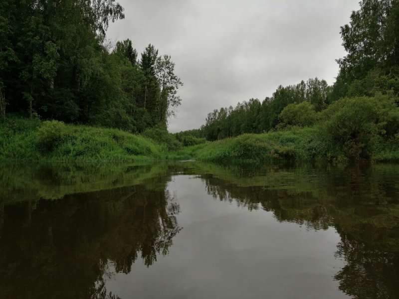 Река Унжа Кологривский район