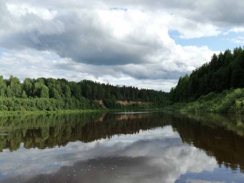 Река ВИГА Костромская область