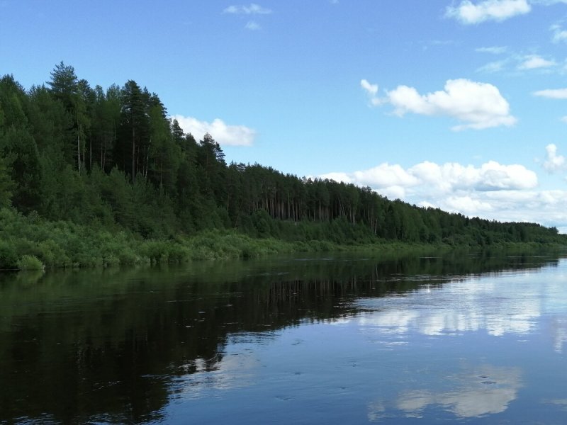 Река Унжа Кологрив