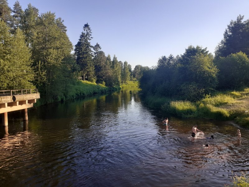 Река Оредеж поселок Вырица
